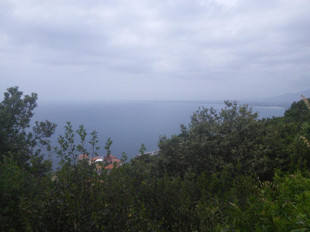 La Selva Hotel Agropoli Exterior photo